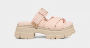 Beige Ugg Ashton Women's Slides | South Africa-6092745