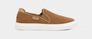 Brown Ugg Alameda Slip On Suede Women's Sneakers | South Africa-6742981