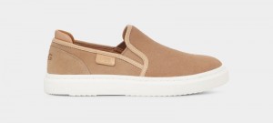 Brown Ugg Alameda Slip On Suede Women's Sneakers | South Africa-6405937