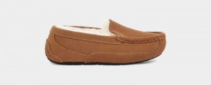 Brown Ugg Ascot Kids' Slippers | South Africa-9523140