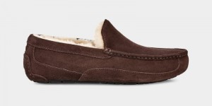 Brown Ugg Ascot Men's Slippers | South Africa-1027843