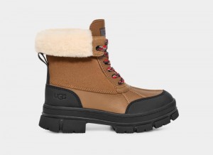 Brown Ugg Ashton Addie Women's Winter Boots | South Africa-8256410