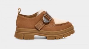 Brown Ugg Ashton Suede Women's Sneakers | South Africa-7835901