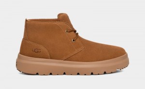 Brown Ugg Burleigh Chukka Men's Sneakers | South Africa-3751046