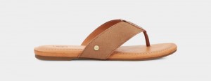 Brown Ugg Carey Flip Suede Women's Slides | South Africa-8239465