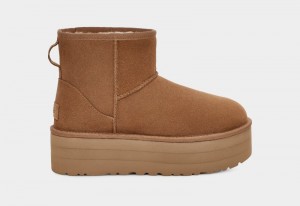 Brown Ugg Classic Mini Platform Women's Boots | South Africa-2140567