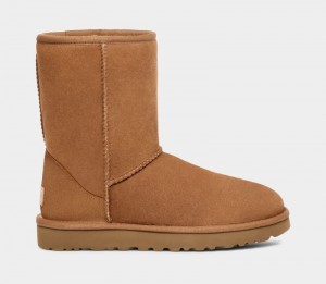 Brown Ugg Classic Short Men's Boots | South Africa-9205641