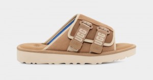 Brown Ugg Goldencoast Strap Men's Slides | South Africa-5360429