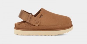 Brown Ugg Goldenstar Women's Clogs | South Africa-3201946