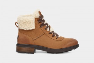 Brown Ugg Harrison Cozy Lace Women's Winter Boots | South Africa-4673052