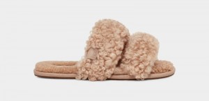 Brown Ugg Maxi Curly Scuffetta Women's Slippers | South Africa-2485691