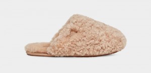 Brown Ugg Maxi Curly Women's Slides | South Africa-3546821