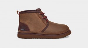 Brown Ugg Neumel Ii Weather Kids' Boots | South Africa-8250346