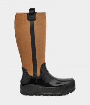 Brown Ugg Raincloud Tall Suede Women's Boots | South Africa-2849170