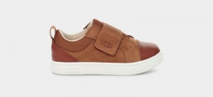 Brown Ugg Rennon Low Kids' Sneakers | South Africa-8061327