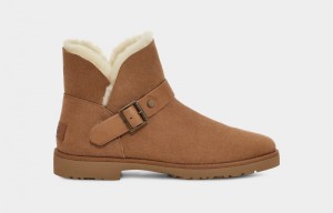 Brown Ugg Romely Short Buckle Women's Winter Boots | South Africa-9065423