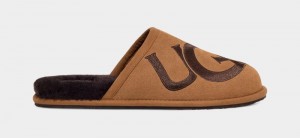 Brown Ugg Scuff Logo Ii Men's Slippers | South Africa-5713820