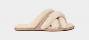 Brown Ugg Scuffita Women's Slippers | South Africa-1539680