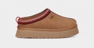 Brown Ugg Tazz Women's Clogs | South Africa-9123068