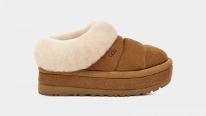 Brown Ugg Tazzlita Women's Clogs | South Africa-3654912