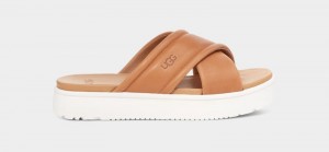 Brown Ugg Zayne Crossband Women's Slides | South Africa-5693218