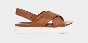 Brown Ugg Zayne Women's Slingback | South Africa-7401265