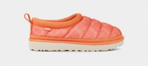 Coral Ugg Tasman Lta Women's Clogs | South Africa-6379142