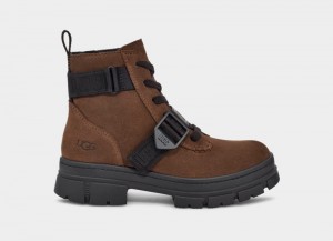 Deep Brown Ugg Ashton Lace Up Women's Ankle Boots | South Africa-4293157