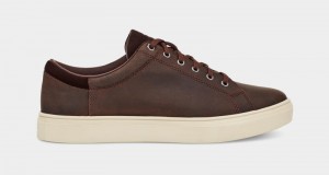 Deep Brown Ugg Baysider Low Weather Men's Sneakers | South Africa-8905463