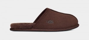 Deep Brown Ugg Scuff Men's Slippers | South Africa-8524139