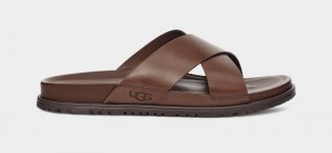 Deep Brown Ugg Wainscott Men's Slides | South Africa-4501628