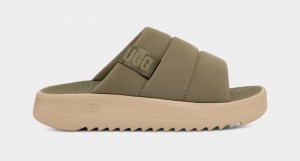 Green Ugg Maxxer Men's Slides | South Africa-3124576