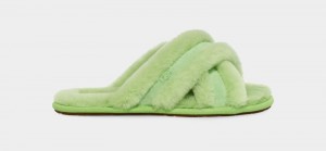 Green Ugg Scuffita Women's Slippers | South Africa-1803954