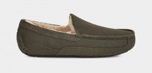 Khaki Ugg Ascot Men's Slippers | South Africa-4130258