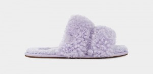 Olive Ugg Maxi Curly Scuffetta Women's Slippers | South Africa-3140257