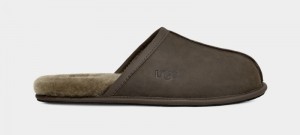 Olive Ugg Scuff Leather Men's Slippers | South Africa-4396871