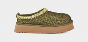 Olive Ugg Tazz Maxi Tasman Women's Clogs | South Africa-4123095