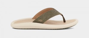 Olive / Grey Brown Ugg Brookside Ii Flip Canvas Men's Sandals | South Africa-1760485