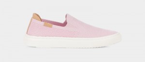 Pink Ugg Alameda Sammy Women's Sneakers | South Africa-4387210