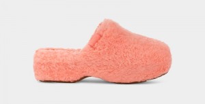 Pink Ugg Fuzz Sugar Clog Women's Clogs | South Africa-5231069