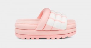 Pink Ugg Maxi Logo Women's Slides | South Africa-4592178