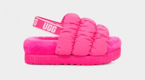 Pink Ugg Scrunchita Women's Slippers | South Africa-8251063