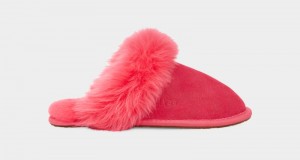 Pink Ugg Scuff Sis Women's Slippers | South Africa-3704258