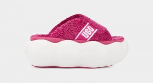 Pink Ugg Sugarcloud Women's Slides | South Africa-9071325