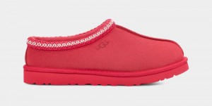 Pink Ugg Tasman Men's Slippers | South Africa-7468920