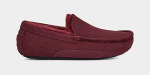 Purple Ugg Ascot Men's Slippers | South Africa-2784561