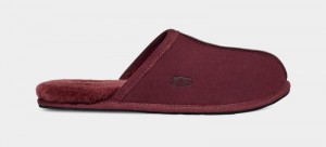 Purple Ugg Scuff Men's Slippers | South Africa-1062458