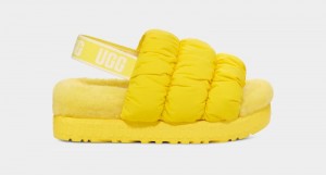 Yellow Ugg Scrunchita Women's Slippers | South Africa-1752498