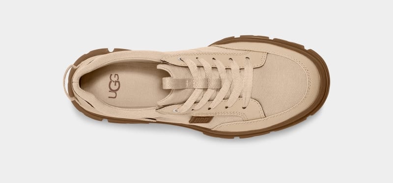 Apricot Ugg Ashton Hybrid Women's Sneakers | South Africa-2039167