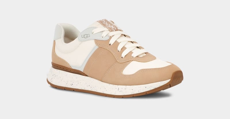 Apricot Ugg Retrainer Women's Sneakers | South Africa-7816920